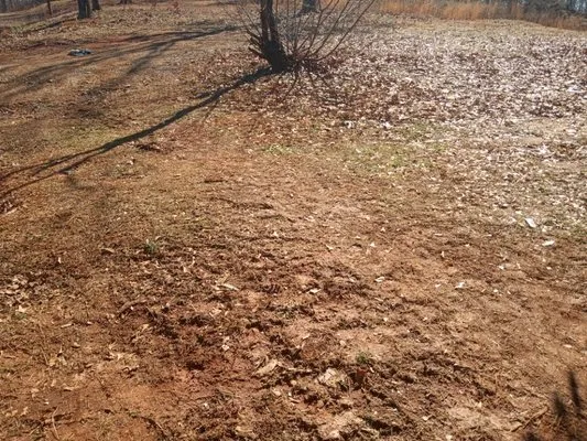 Stewart's landscaping