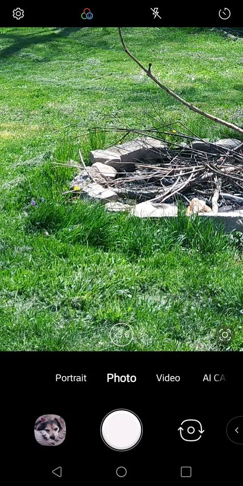 Professional yard maintenance in Annapolis, MD - Stewarts Lawn & Landscape