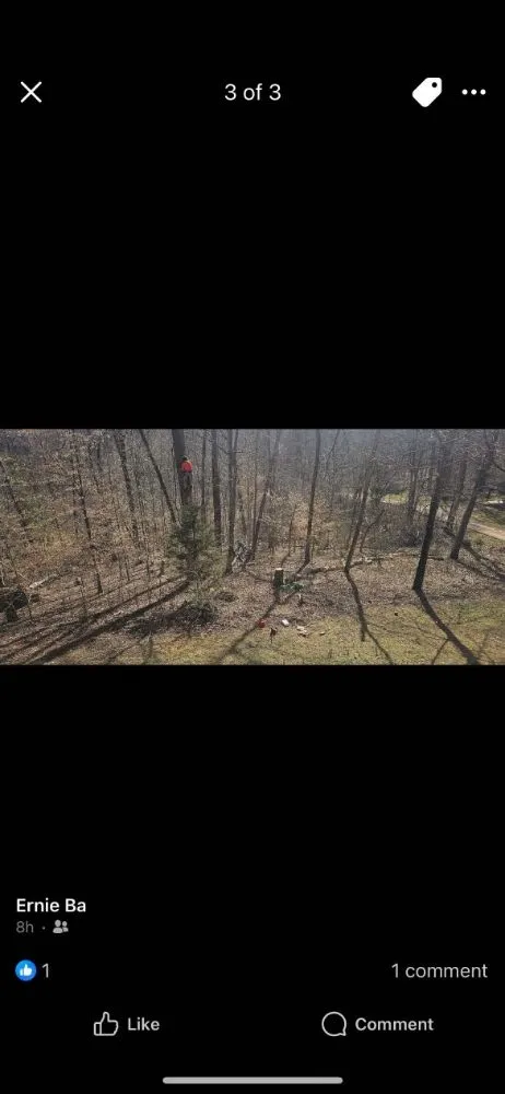 Affordable yard maintenance with custom design across Surgoinsville, TN - Stewart's Lawn and Tree Service