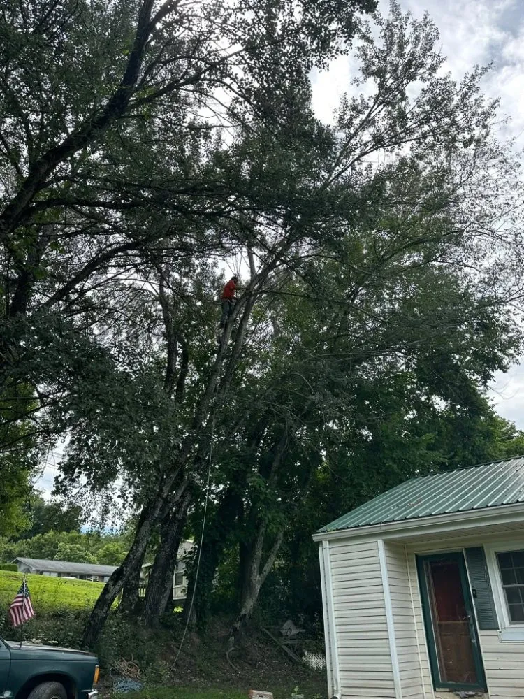 Expert outdoor landscaping for homes in Surgoinsville, TN by Stewart's Lawn and Tree Service