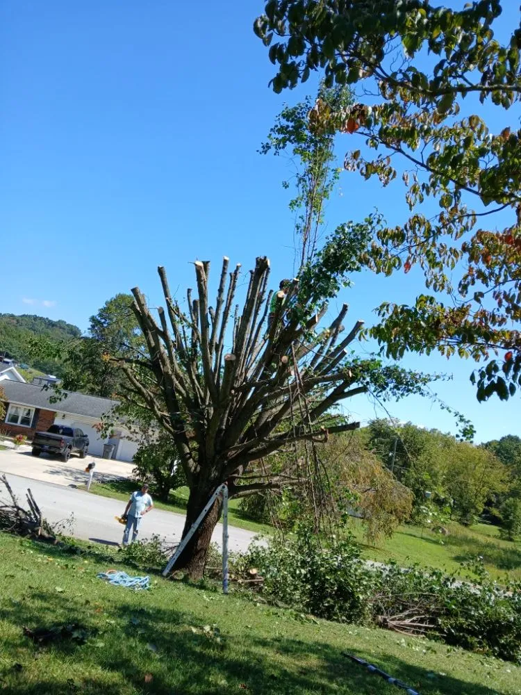 Expert yard maintenance in Surgoinsville, TN - Stewart's Lawn and Tree Service