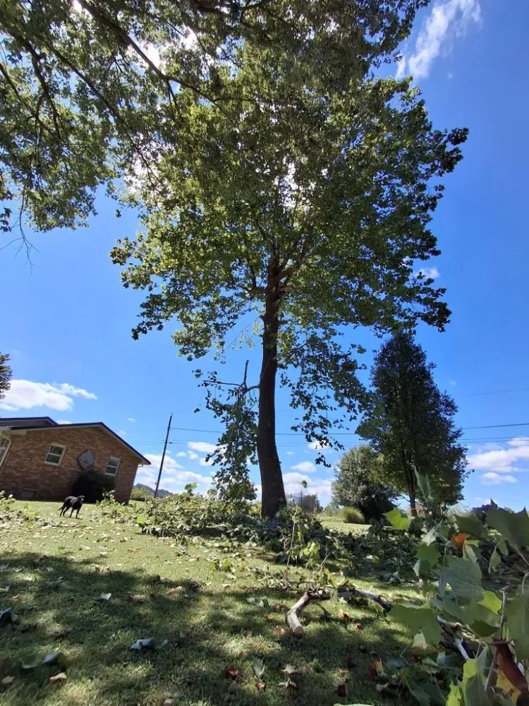 Reliable landscape installation with custom design across Surgoinsville, TN - Stewart's Lawn and Tree Service