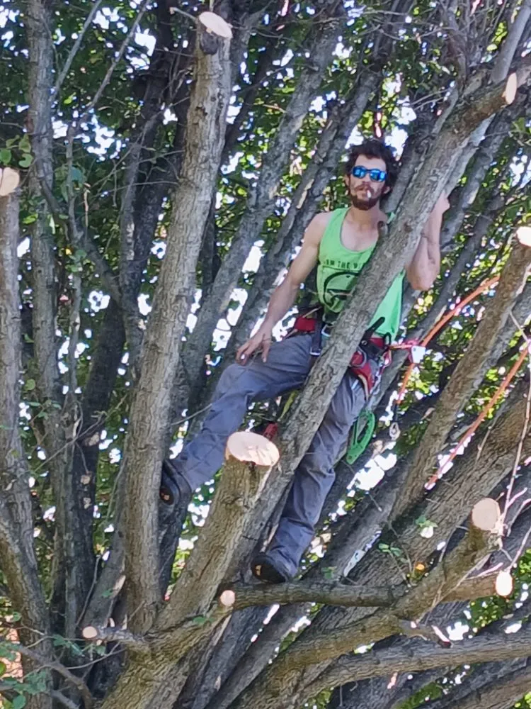 Professional outdoor landscaping for outdoor upgrades in Surgoinsville, TN by Stewart's Lawn and Tree Service