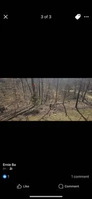 Stewart's Lawn and Tree Service