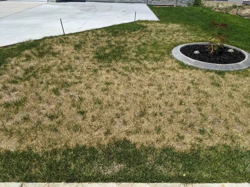 Expert landscaping services in Orem, UT - Stewart's Lawn Care and Pest Control