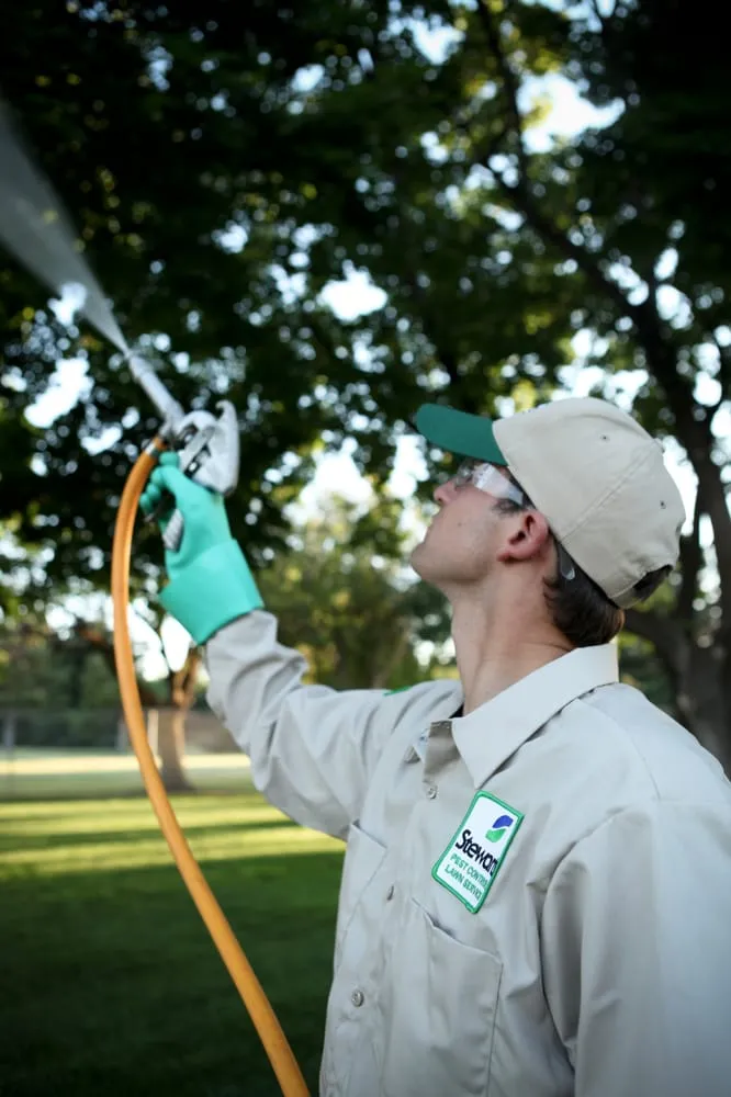 Custom lawn care service for residential properties in Orem, UT by Stewart's Lawn Care and Pest Control