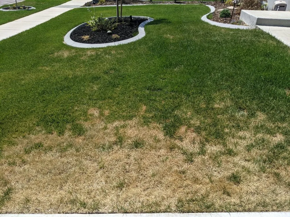 Professional lawn mowing service in Orem, UT by Stewart's Lawn Care and Pest Control