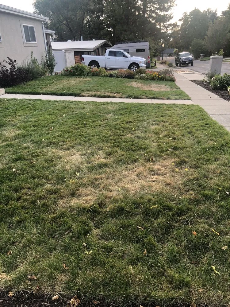 Professional landscape design in Orem, UT by Stewart's Lawn Care and Pest Control