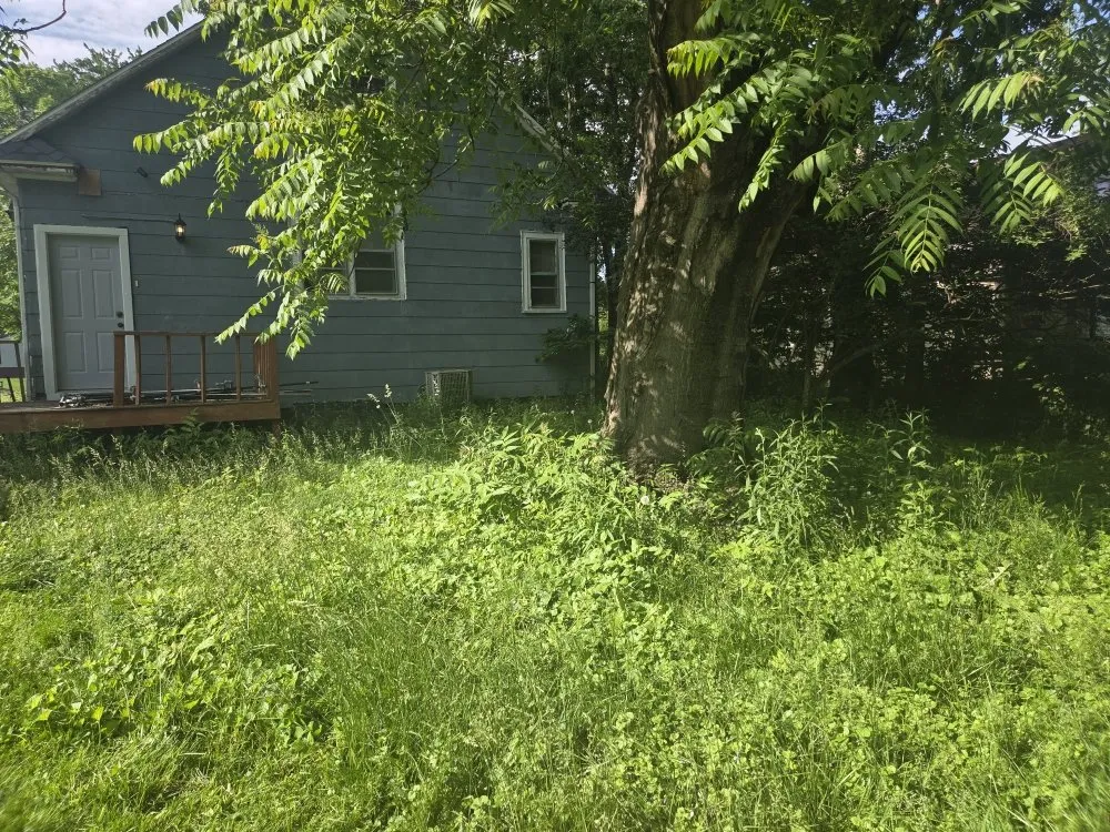 Affordable lawn mowing service in Charleston, IL by Stewart's Lawn Care