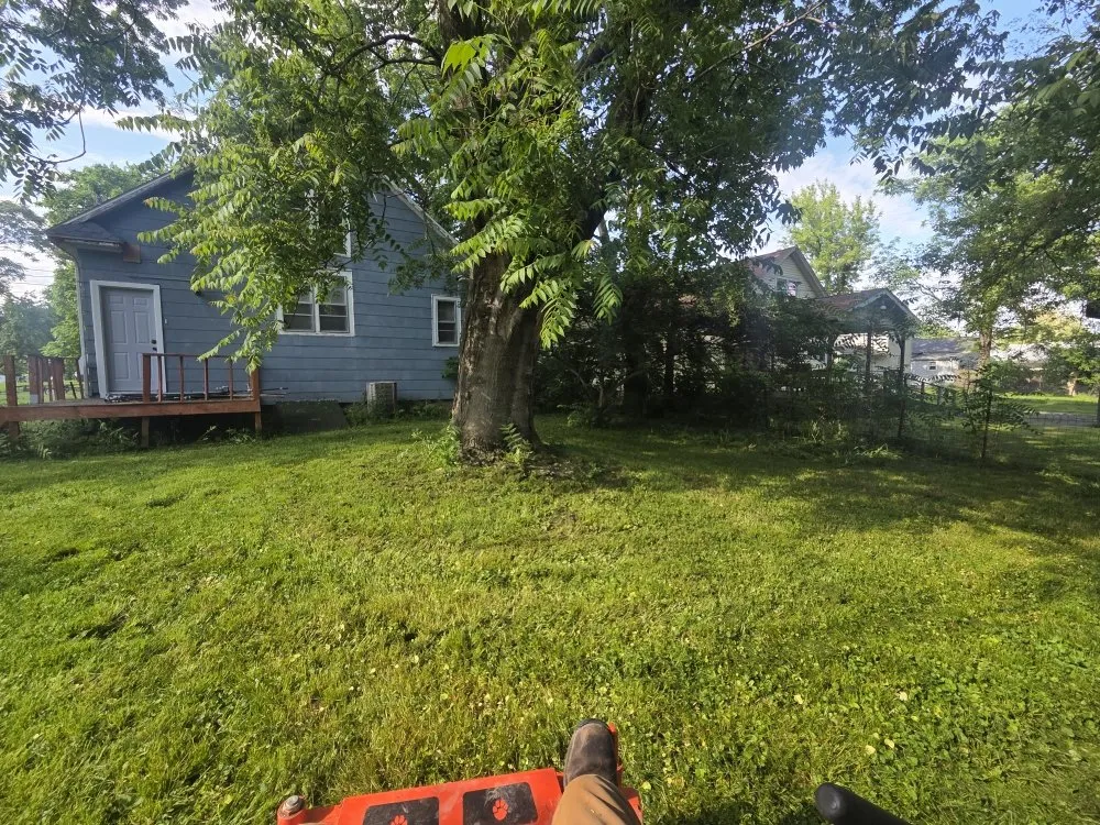 Reliable yard cleanup service in Charleston, IL by Stewart's Lawn Care