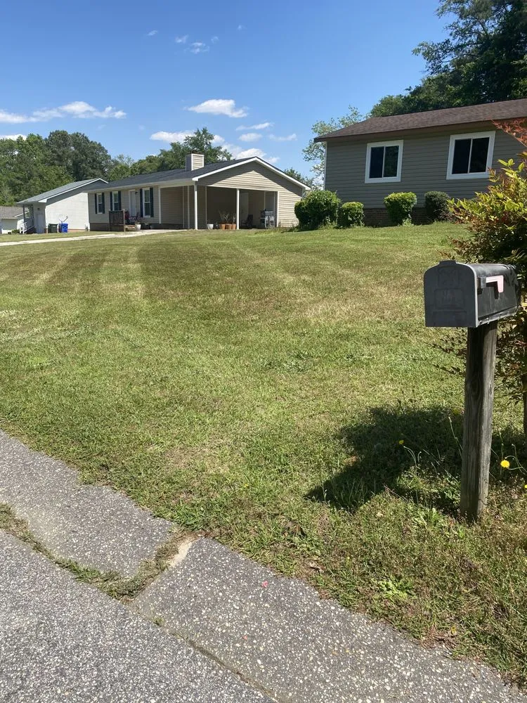 Professional yard cleanup service in Rogers, AR by Stewart’s Lawn Care