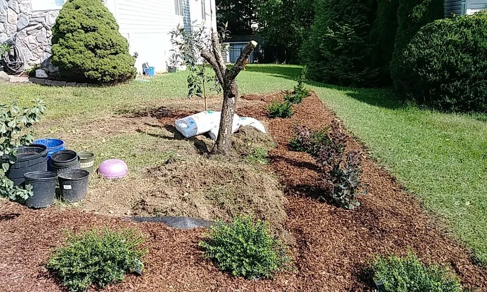 Affordable outdoor landscaping experts serving Fredericksburg, VA - Stewart's services