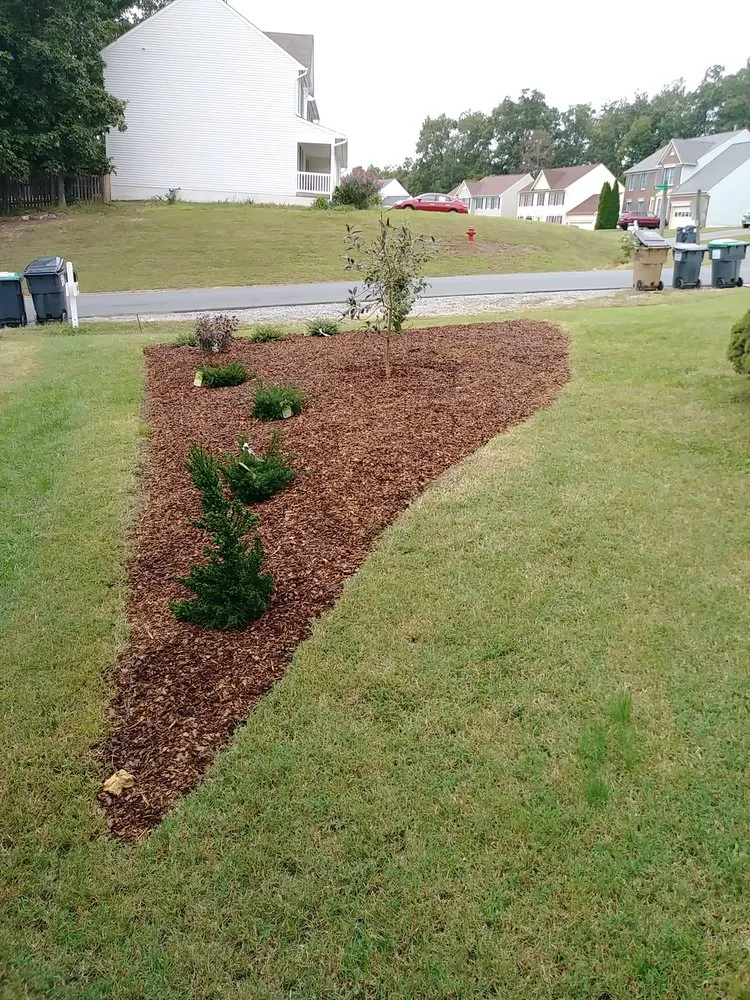 Custom yard maintenance in Fredericksburg, VA by Stewart's services