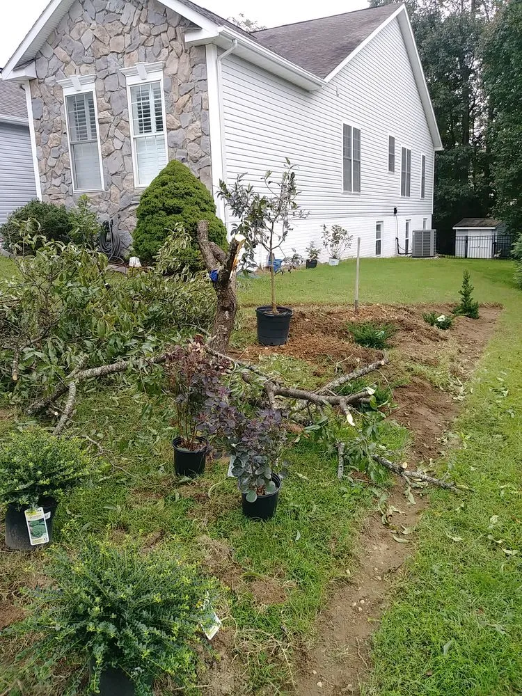 Trusted lawn care service with custom design in Fredericksburg, VA by Stewart's services