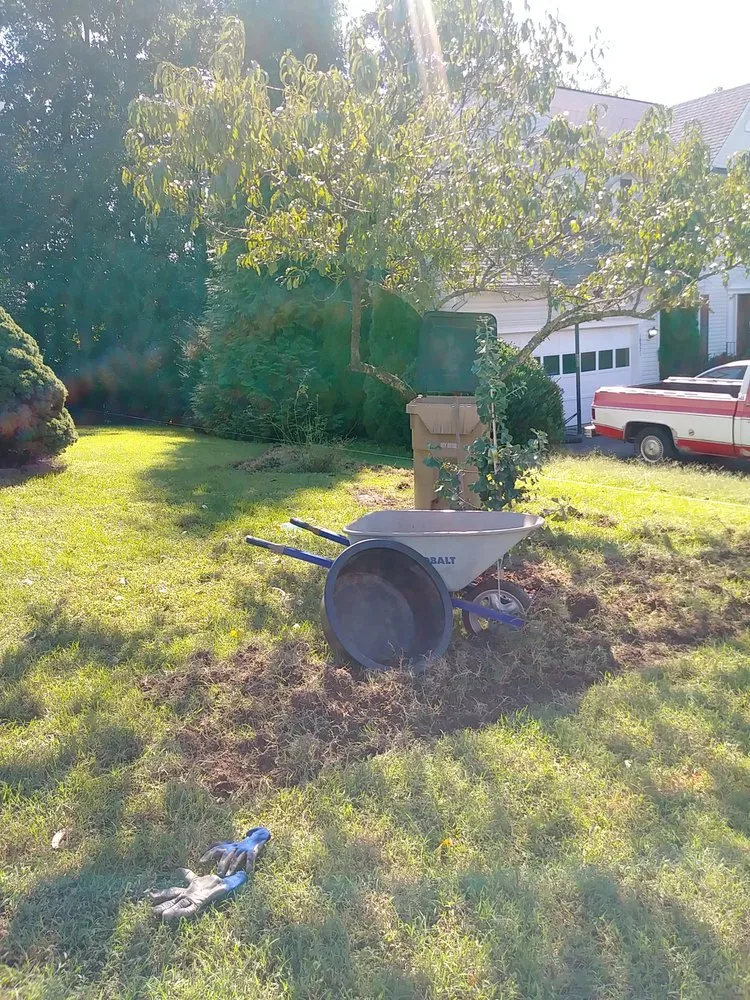 Top-rated lawn care service in Fredericksburg, VA by Stewart's services