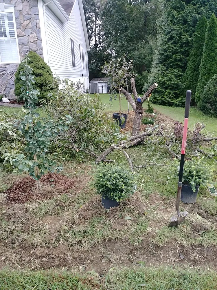 Custom landscape design in Fredericksburg, VA by Stewart's services