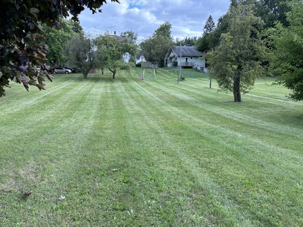 Top-rated outdoor landscaping experts serving Edmore, MI - Stew’s Lawn Care