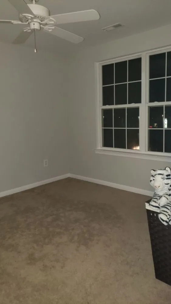 Local landscape design experts serving Marcus Hook, PA - Stews painting