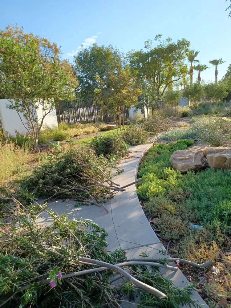 Reliable lawn care service in St. George, UT - STG Crew Maintenance & Landscaping