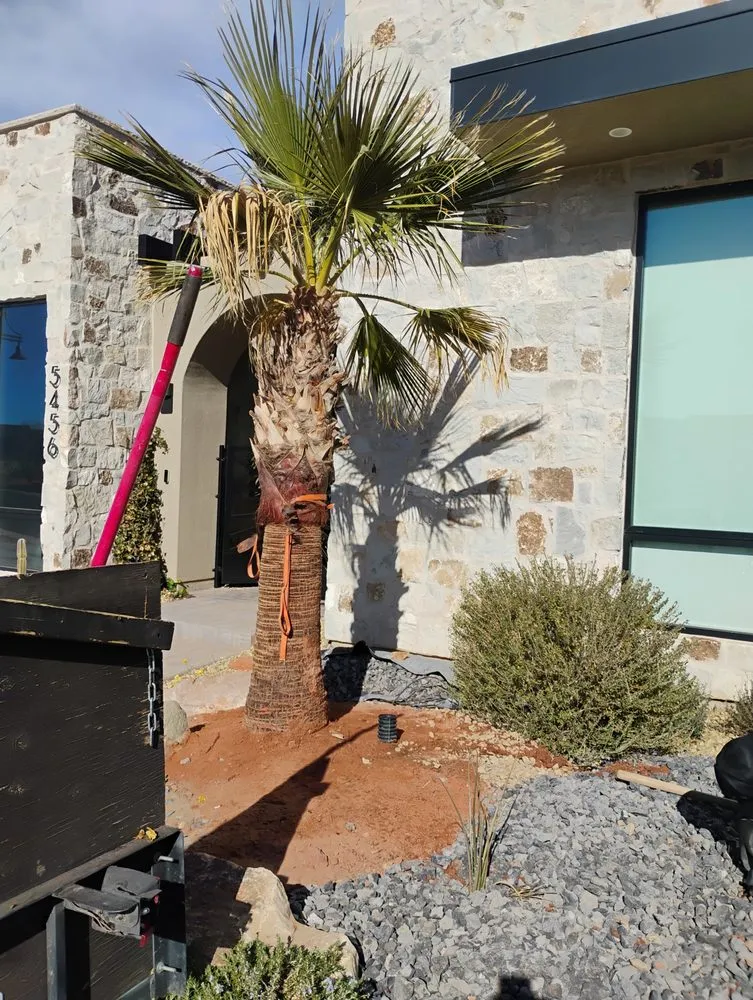 Top-rated landscape installation with custom design in St. George, UT by STG Crew Maintenance & Landscaping