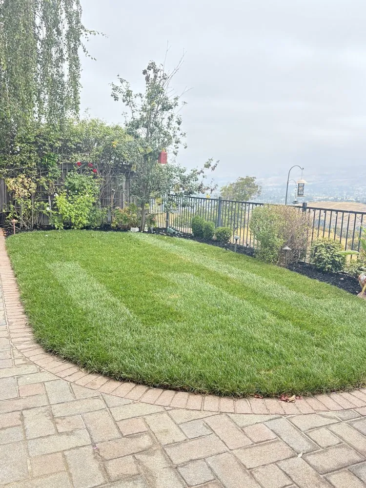 Expert outdoor landscaping in Morgan Hill, CA by STG Landscaping