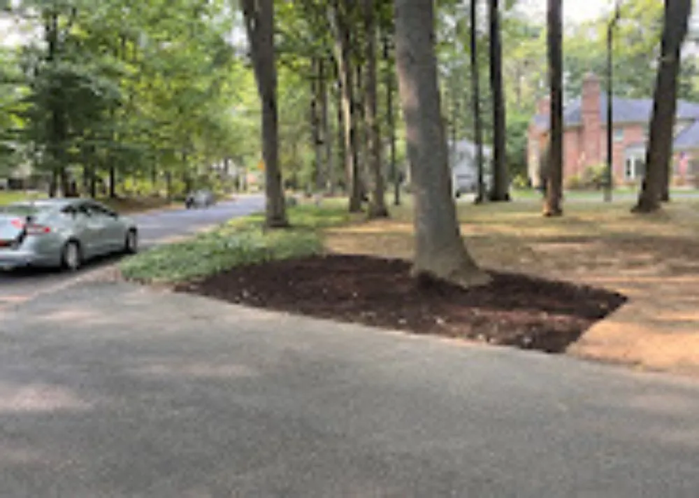 Reliable landscaping services experts serving York Springs, PA - STH Landscaping Services