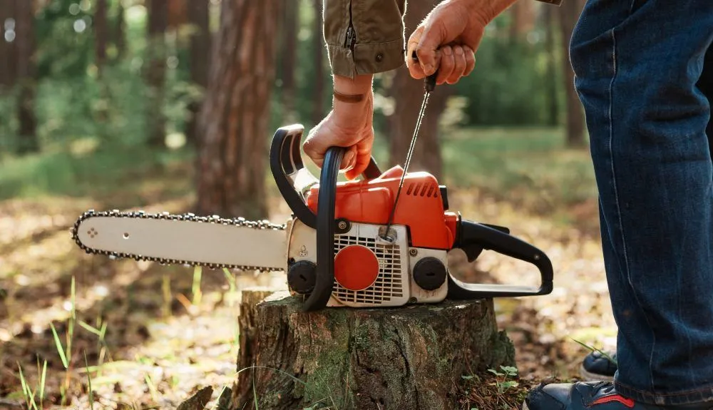 Local landscape installation for year-round maintenance across Redding, CA - Stickel's Handy Services