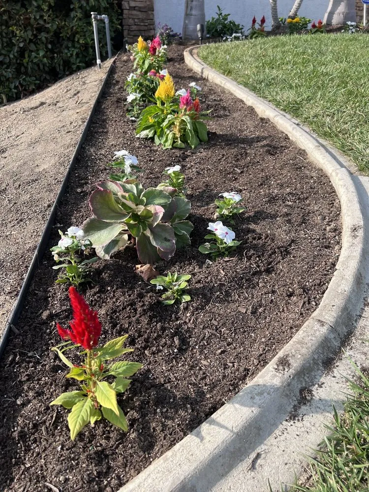 Expert lawn mowing service experts serving Moreno Valley, CA - Stickley’s Landscape & Repair