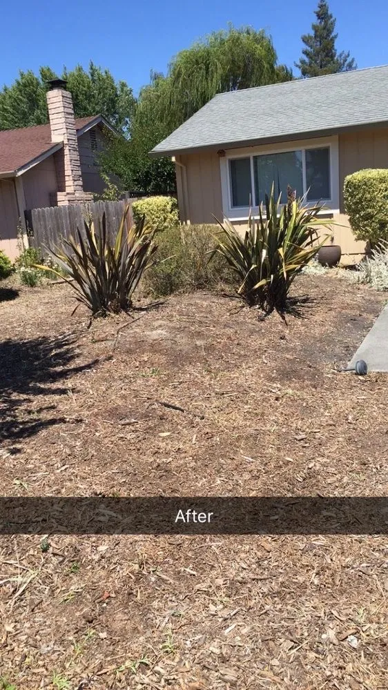 Affordable landscape installation in Penngrove, CA - Sticks & Stones Landscaping