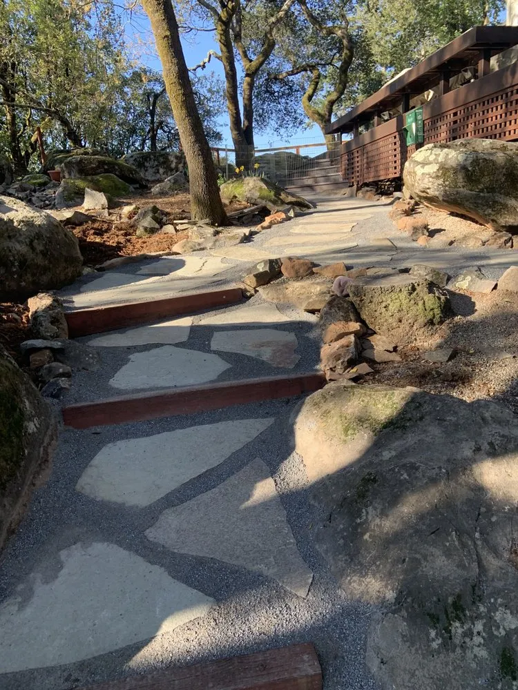 Local yard cleanup service in Penngrove, CA by Sticks & Stones Landscaping
