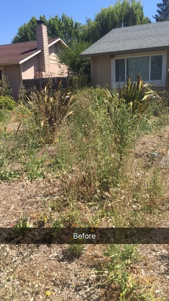 Custom landscape design with custom design across Penngrove, CA - Sticks & Stones Landscaping