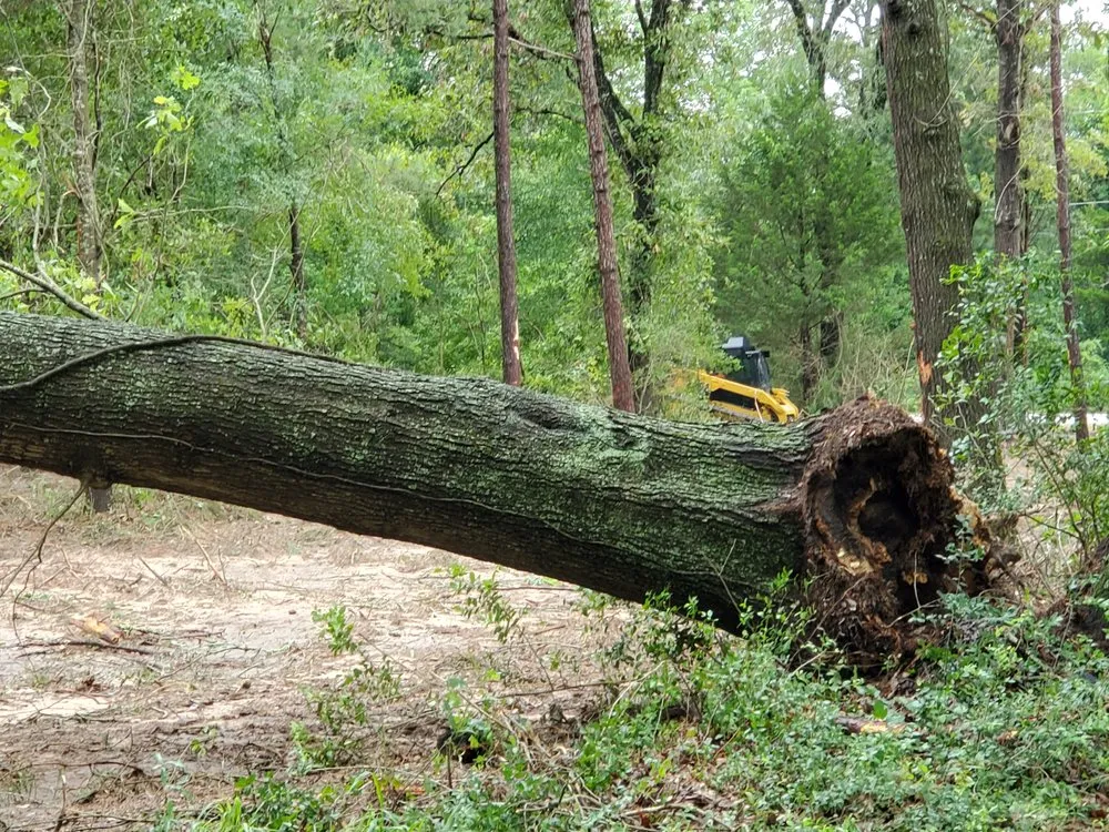 Top-rated lawn care service in Montgomery, TX by Sticks and Stones Land Management