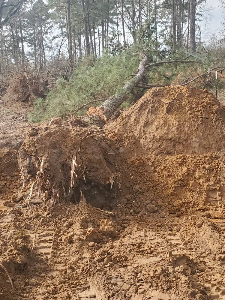 Top-rated landscaping services experts serving Montgomery, TX - Sticks and Stones Land Management