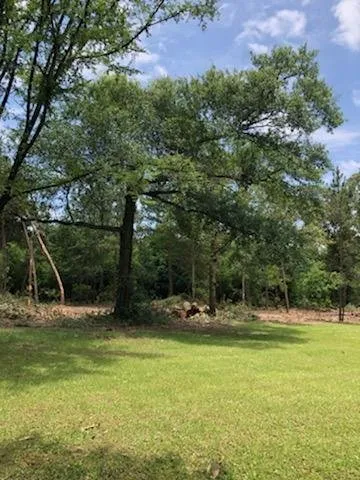 Reliable landscape installation for outdoor upgrades across Montgomery, TX - Sticks and Stones Land Management