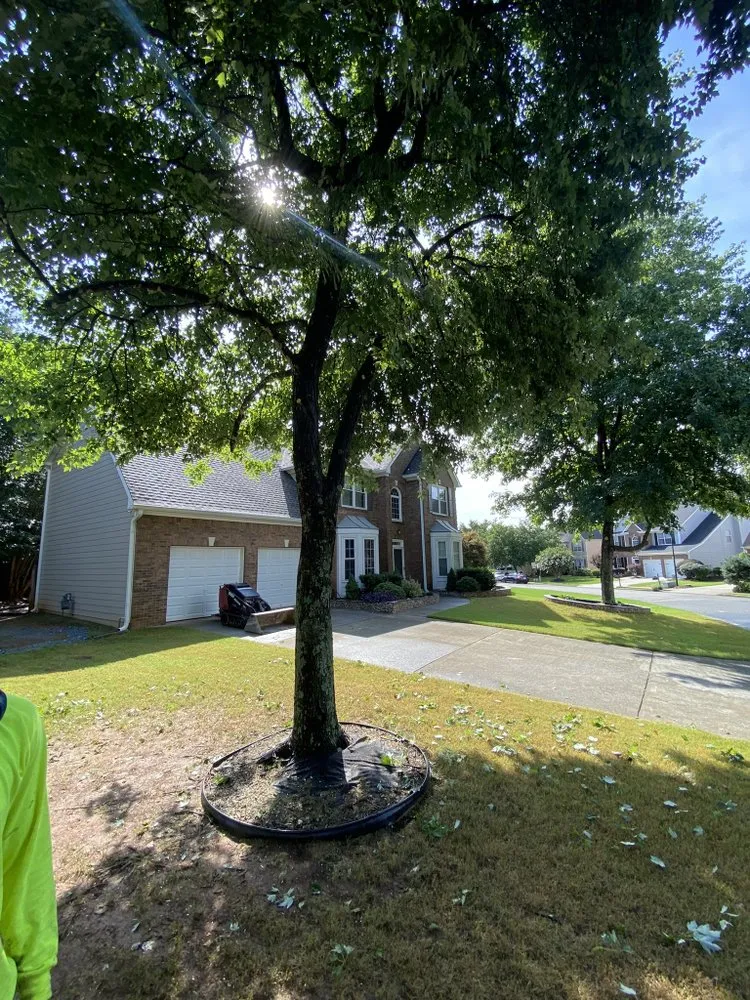 Reliable landscape design in Woodstock, GA - Sticks and Stones Landscape and Lawn Maintenance