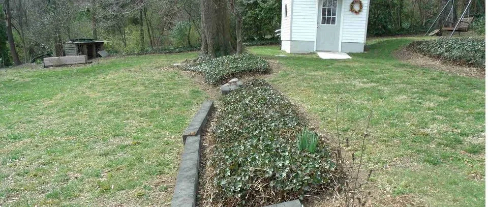 Professional yard cleanup service in Flintstone, GA - Sticks and Stones Lawn and Landscaping