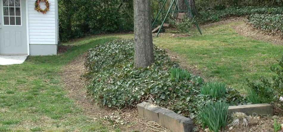 Professional yard cleanup service in Flintstone, GA by Sticks and Stones Lawn and Landscaping