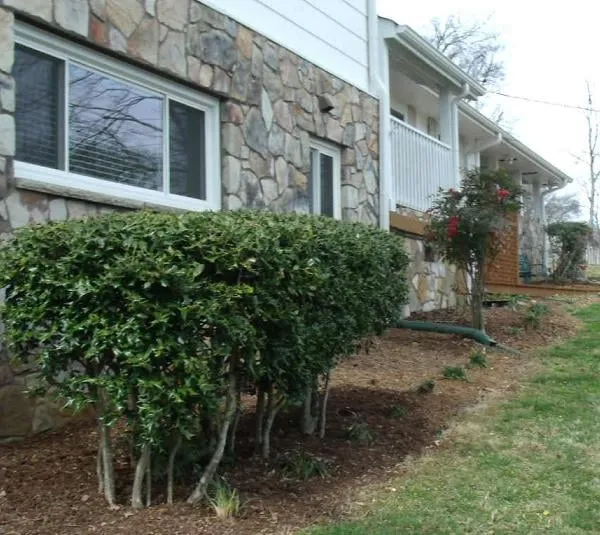 Expert outdoor landscaping in Flintstone, GA - Sticks and Stones Lawn and Landscaping