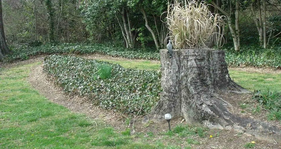 Expert outdoor landscaping for beautiful yards across Flintstone, GA - Sticks and Stones Lawn and Landscaping