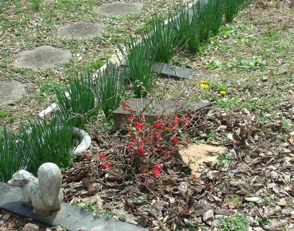 Affordable yard maintenance in Flintstone, GA by Sticks and Stones Lawn and Landscaping