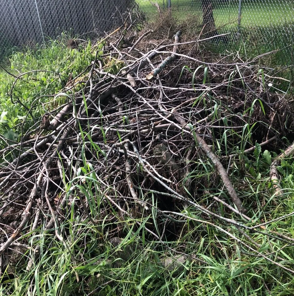 Custom landscape installation for homes across Plano, IL - Sticks and Stumps Residential Services