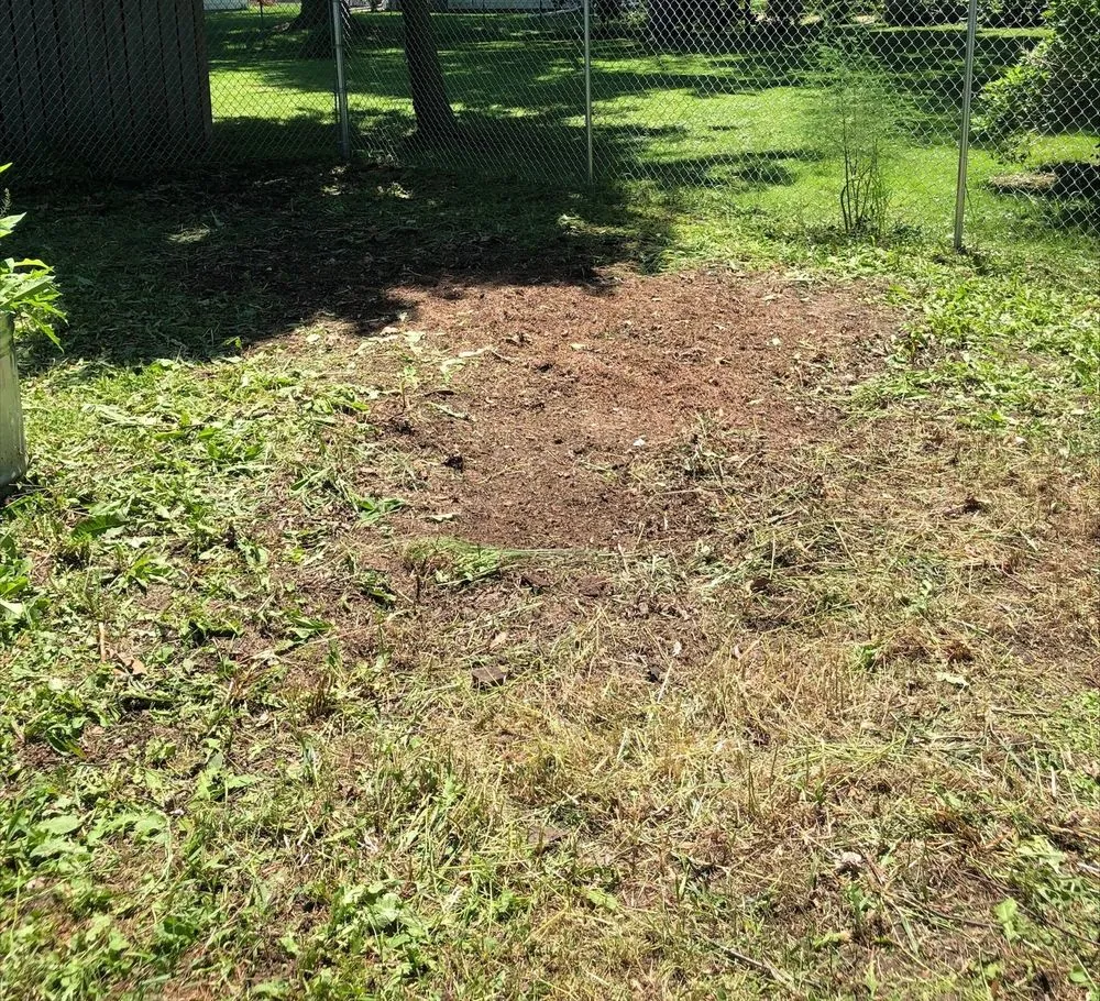 Professional outdoor landscaping for residential properties in Plano, IL by Sticks and Stumps Residential Services