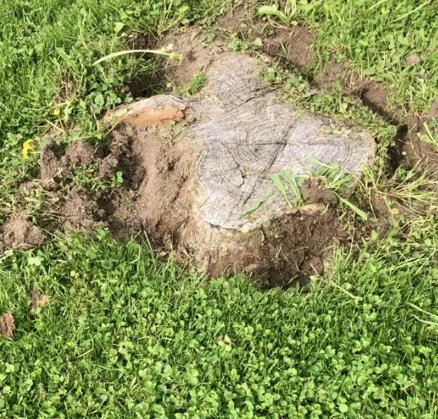 Reliable landscaping services in Plano, IL by Sticks and Stumps Residential Services