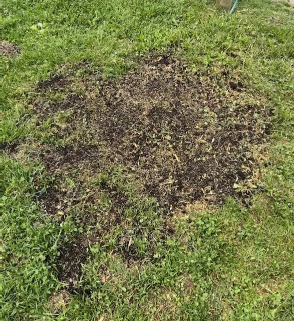 Trusted yard cleanup service in Plano, IL - Sticks and Stumps Residential Services