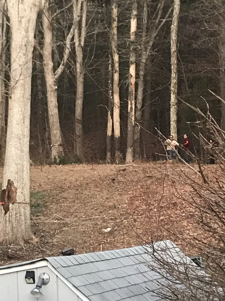 Local landscape installation for outdoor upgrades in Salem, CT by Sticks Landscaping & Property Maintenance