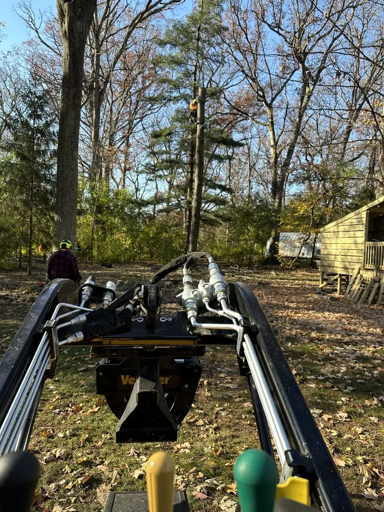 Expert yard maintenance near you in West Chicago, IL by Sticks N Chips Tree Experts and Landscaping