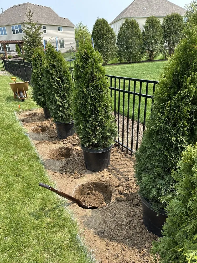 Affordable lawn mowing service experts serving West Chicago, IL - Sticks N Chips Tree Experts and Landscaping