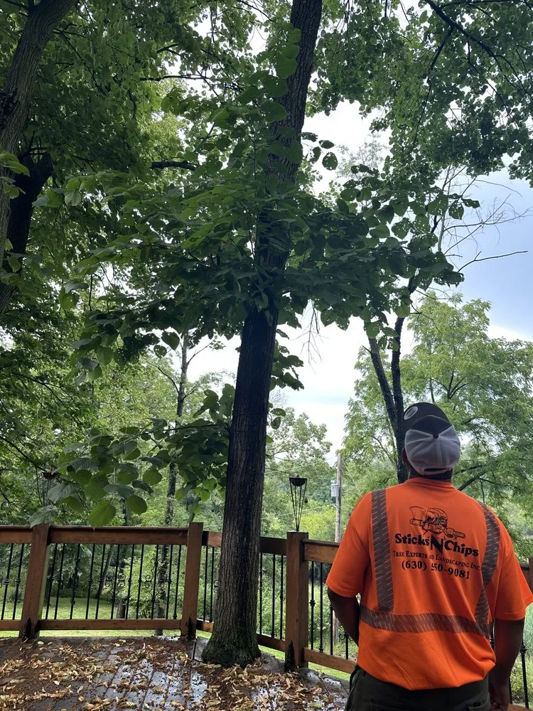 Custom landscaping services in West Chicago, IL - Sticks N Chips Tree Experts and Landscaping