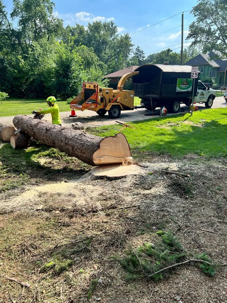 Trusted lawn care service for homes in West Chicago, IL by Sticks N Chips Tree Experts and Landscaping