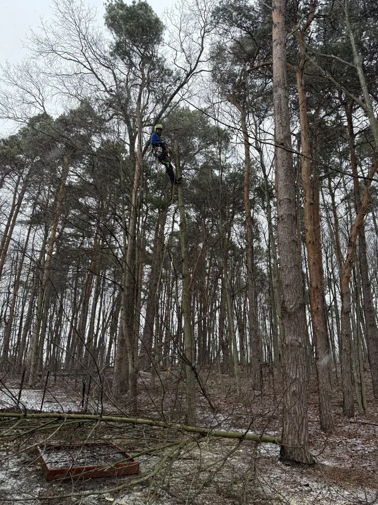 Top-rated residential landscaping in Holland, MI by Sticks Tree and Trimmings